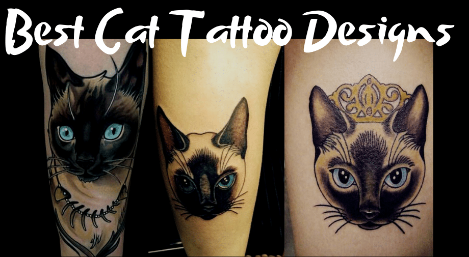 Top 61 Best Simple Cat Tattoo Ideas  2021 Inspiration Guide