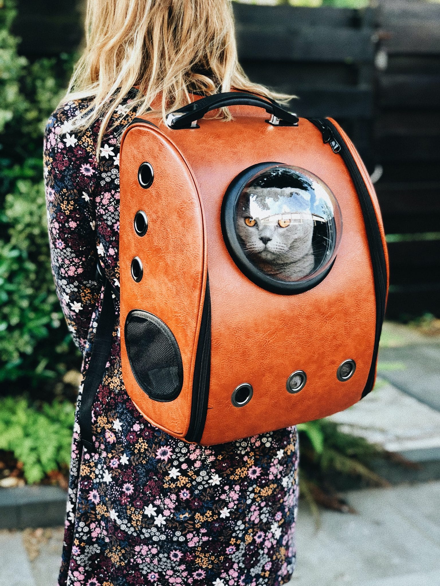 Siamese Cat Travel Accessories Must Have on Travel Backpack