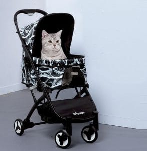 Cat stroller