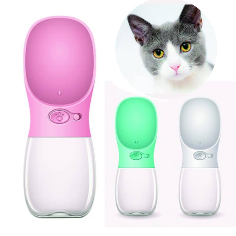 Siamese Cat Travel Accessories Must Have on Travel Backpack