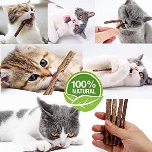 Niteangel Natural Matatabi Catnip Sticks Cat Chew Toy, 20-count