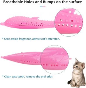 Slopehill Cat Catnip Toy cat Toothbrush