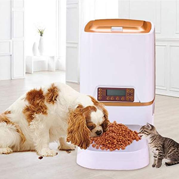 6 Best Automatic Cat Feeders Review In 2020 Siameseofday