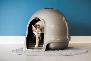 Petmate Booda Dome Clean Step Cat Litter Box 3 Colors