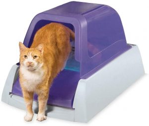 ScoopFree Automatic Cat Litter Box