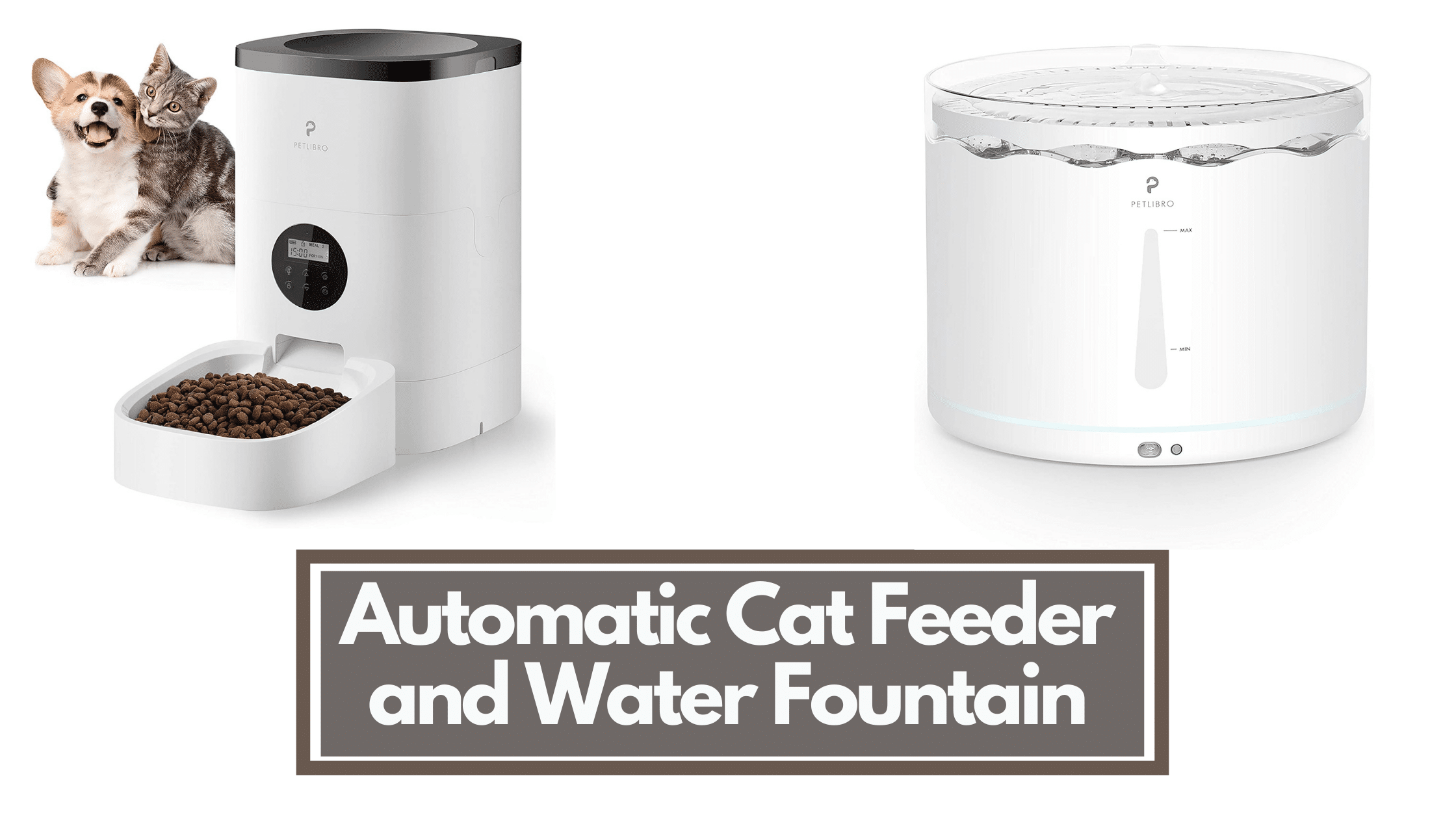 Best Automatic Cat Feeders