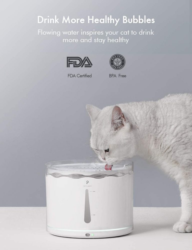 Petlibro Automatic Cat Feeder and Water Fountain Review