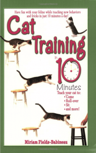 Cat Training in 10 Minutes