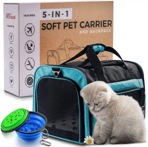 Cat Backpack - 5-in-1 Premium CAT