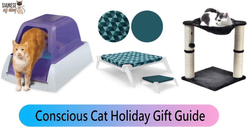 Conscious Cat Holiday Gift Guide