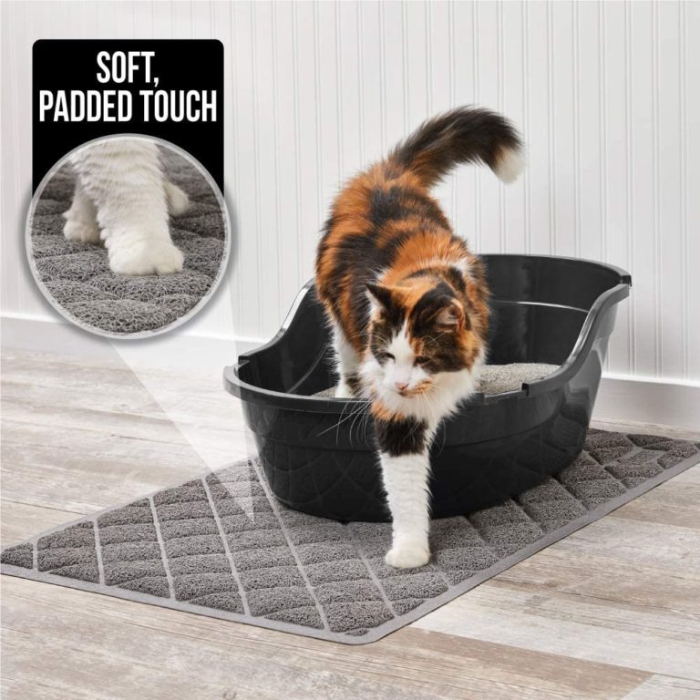 Cat litter Mat Tips for Stop Cat Litter Tracking and Scattering
