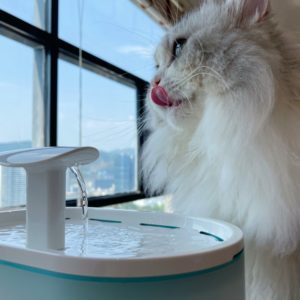 Petlibro Automatic Water Fountain