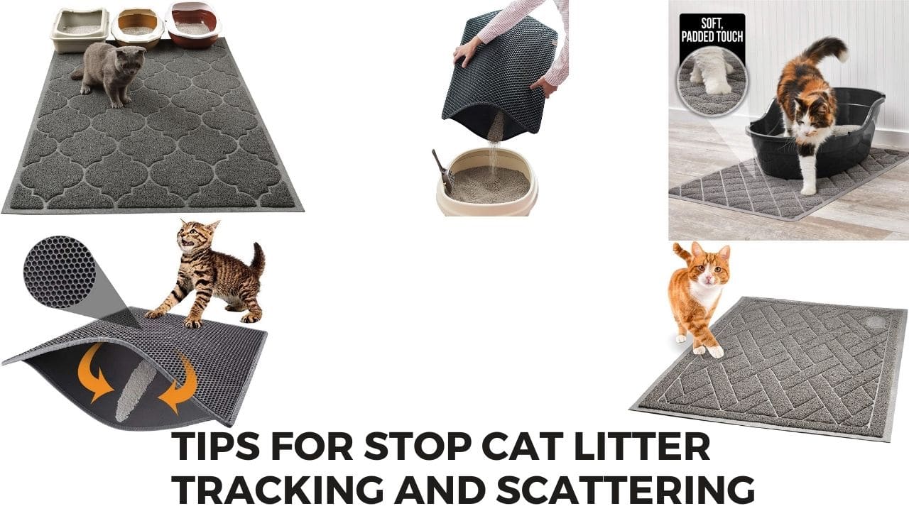 Cat litter Mat Tips for Stop Cat Litter Tracking and Scattering