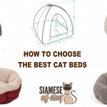 Best Cat Beds: Tips to Choose Cat Bed & (Reviews & Buyer's Guide) 2024