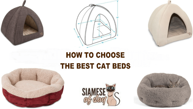 Best Cat Beds