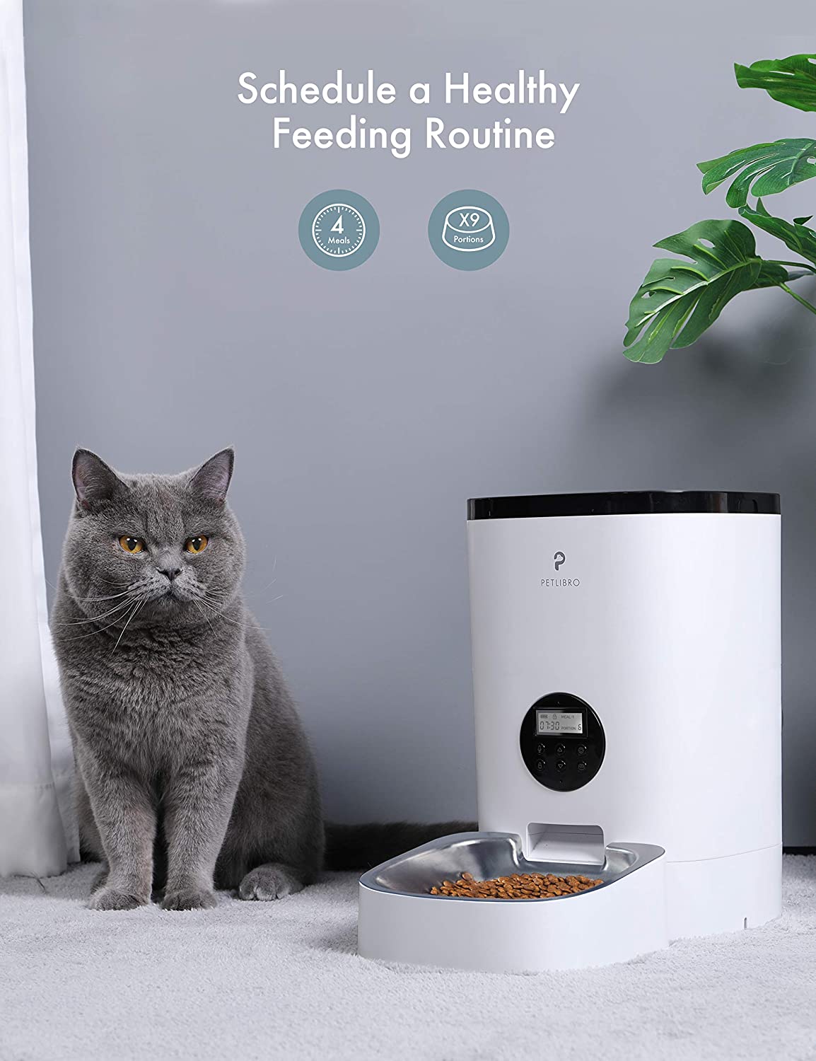 Best Automatic Cat Feeders of 2024 - Siameseofday