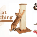 Best Cat Scratching Posts of 2024