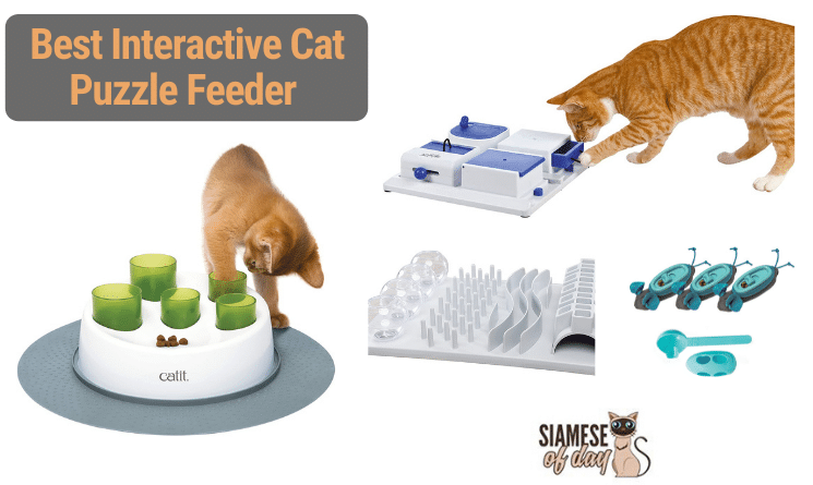  Cat Amazing Classic – Cat Puzzle Feeder – Interactive