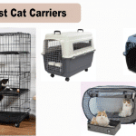 The Best Cat Carriers For 2024