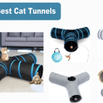 Top 10 Best Cat Tunnels 2022