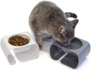  Kitty-City-Raised-Cat-Food-Bowl