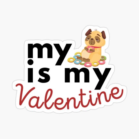 My Pug Is My Valentine
