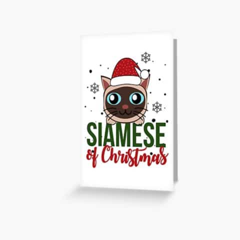 Siamese Christmas Day