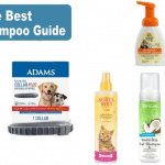 The Best Cat Shampoo Guide For 2024 - [Buyer's Guide & Reviews]