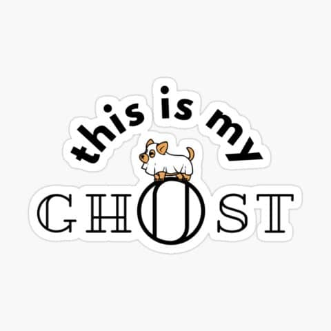 This Is My Ghost Hunting