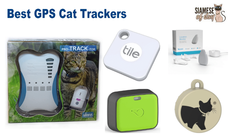 Best GPS Cat Trackers