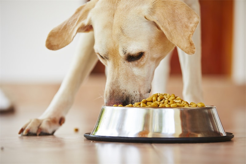 Separate Food Bowls