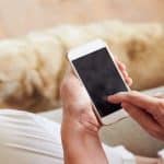 Download These Apps on Your Phone if You Are a Pet Parent