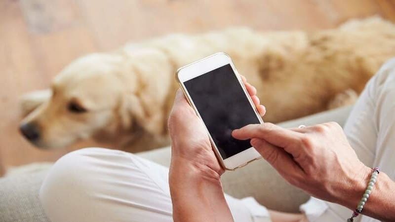 Download These Apps on Your Phone if You Are a Pet Parent