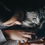 10 Cat-Friendly Phone Games for Interactive Play