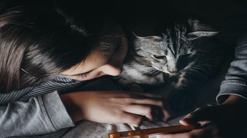 Cat-Friendly Phone Games for Interactive Play